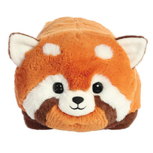 Spudster Remy Red Panda