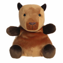 Sid Capybara - Palm Pals 13"