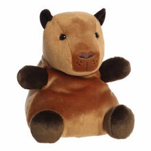 Sid Capybara - Palm Pals 13"