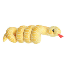 Albino Burmese Python 8"