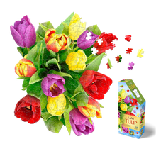 I am Tulip 350pc