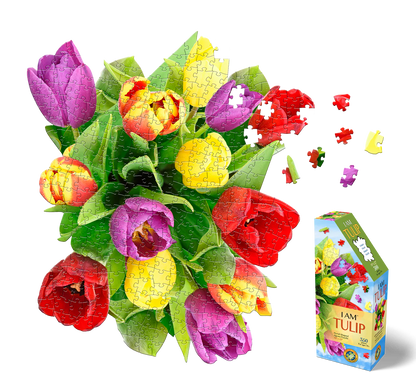 I am Tulip 350pc