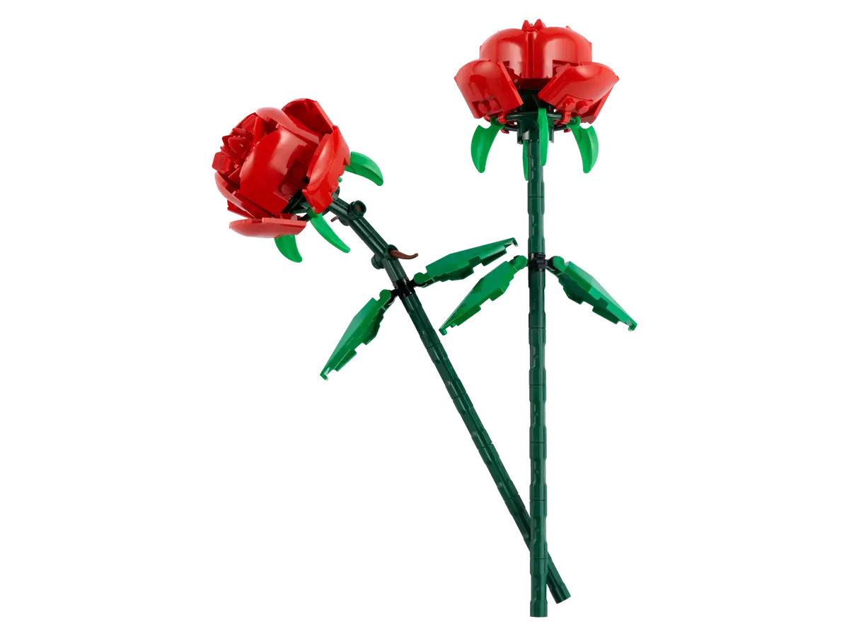 Roses Botanicals (40460)