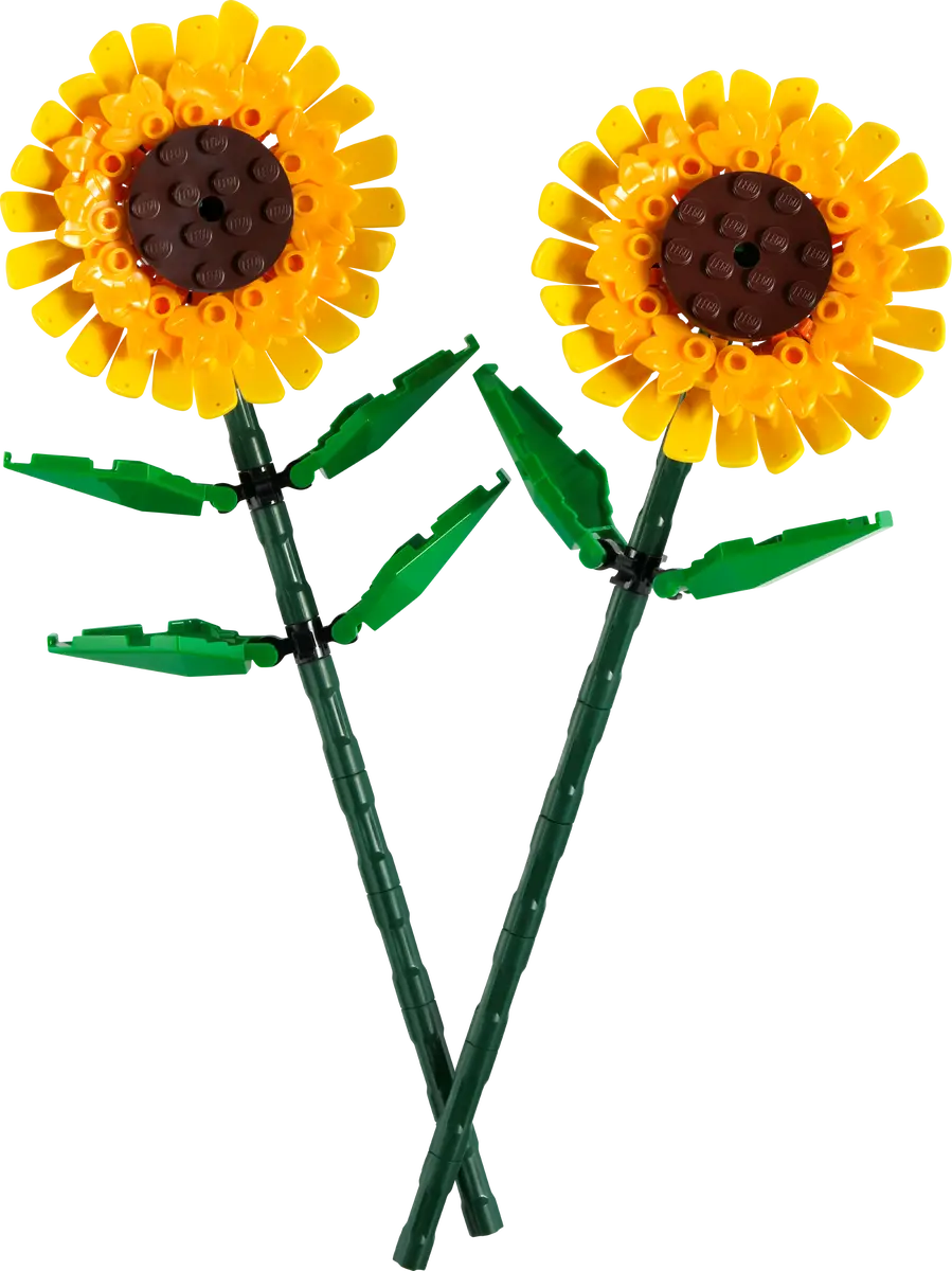 Sunflowers Botanicals (40524)