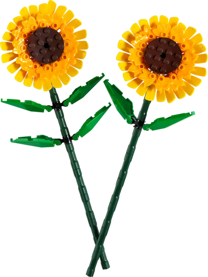 Sunflowers Botanicals (40524)