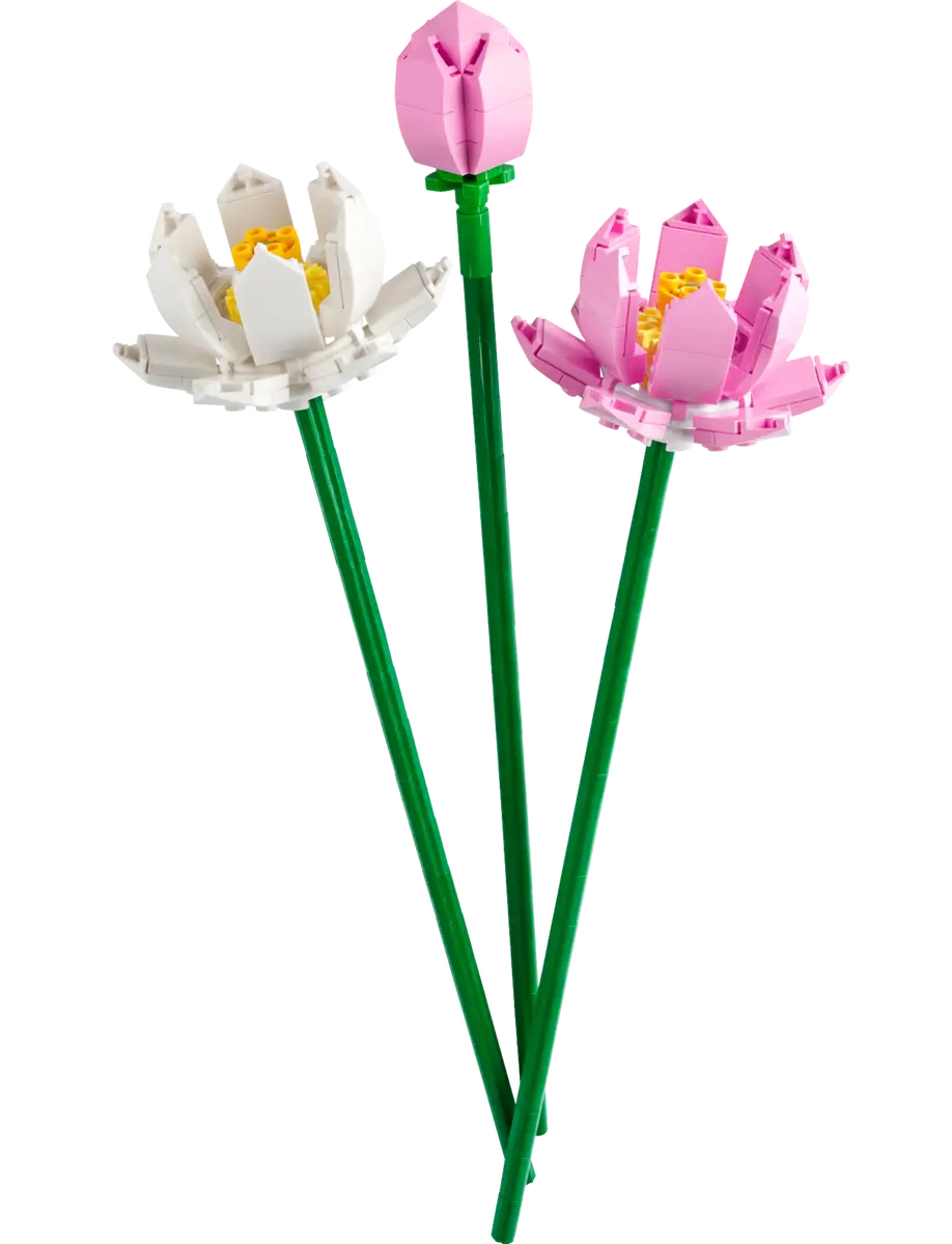 Lotus Flowers Botanicals (40647)