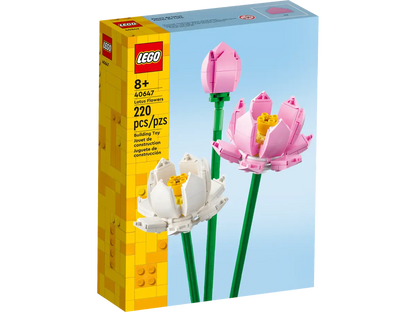 Lotus Flowers Botanicals (40647)