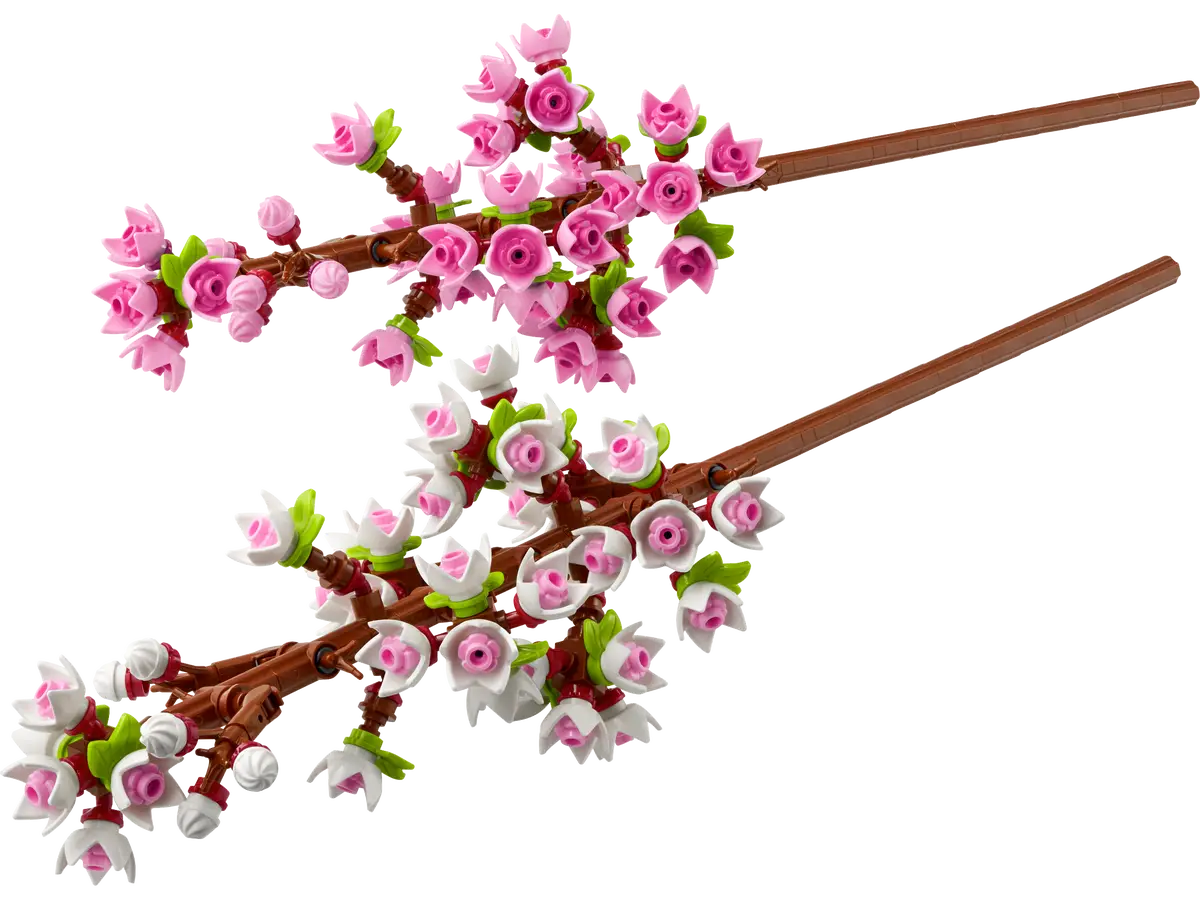 Cherry Blossoms Botanicals (40725)
