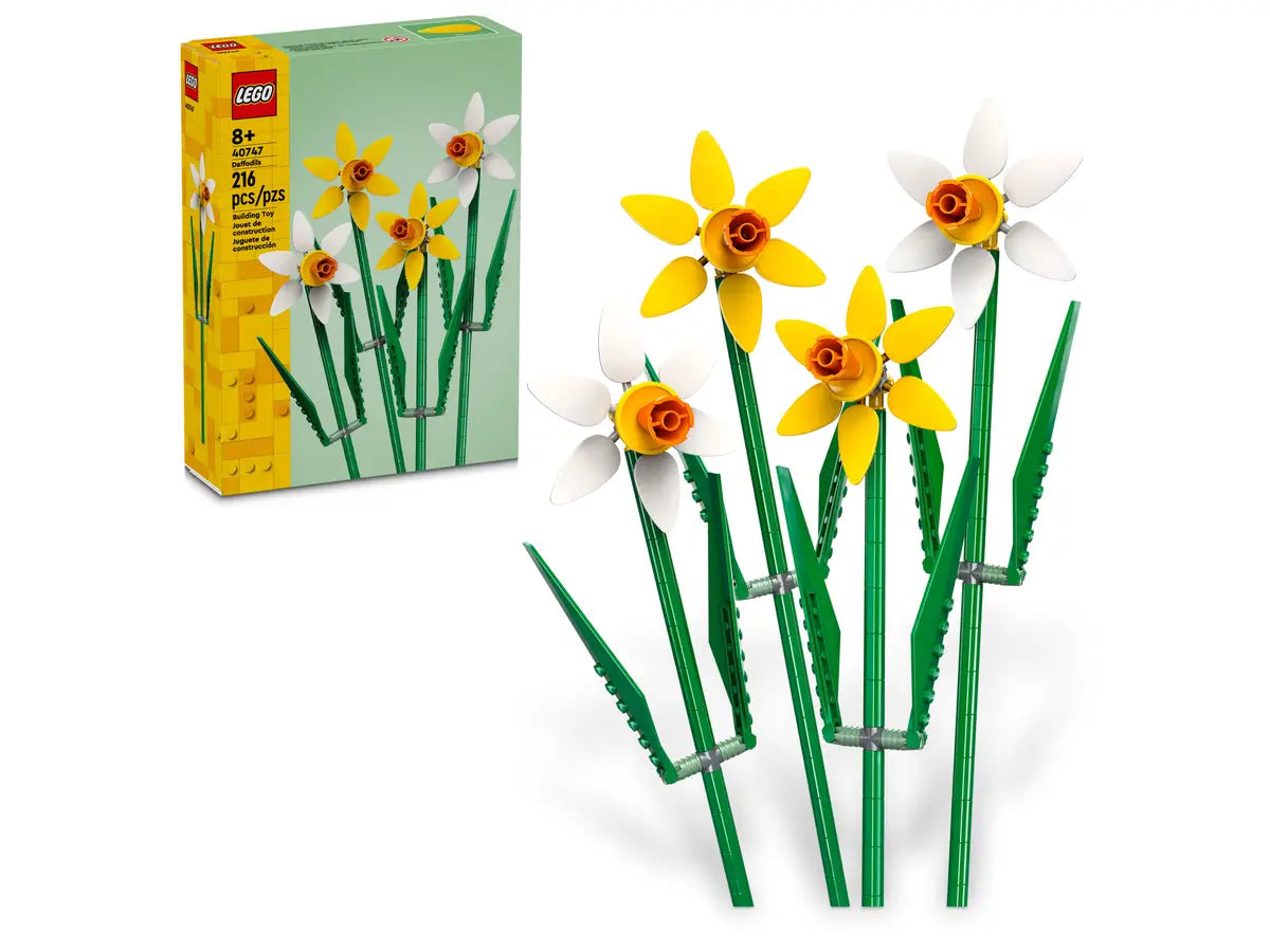 Daffodils Botanicals (40747)