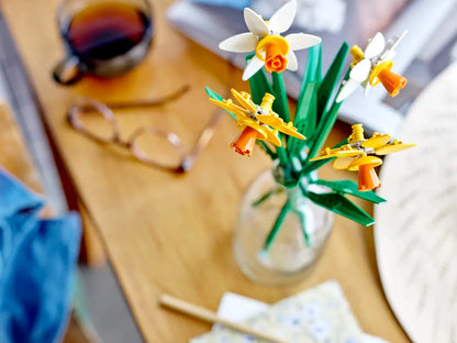 Daffodils Botanicals (40747)