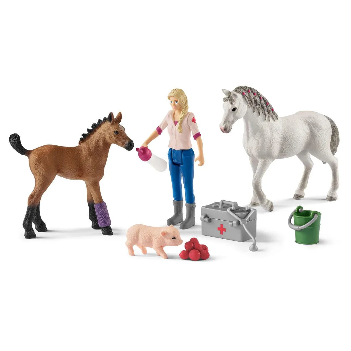 Vet Visiting Mare and Foal