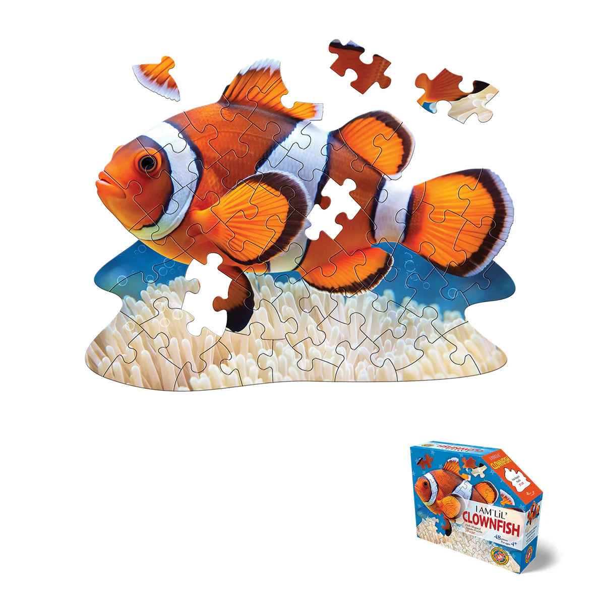 I Am Lil' Clownfish 48pc