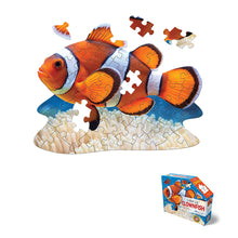 I Am Lil' Clownfish 48pc