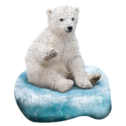 I Am Lil' Polar Bear 48pc
