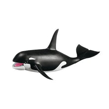 Orca Whale (PM-7654)