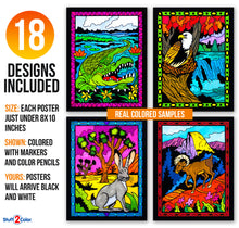 National Parks 18pk