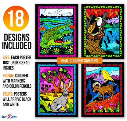 National Parks 18pk