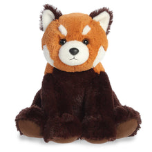 Red Panda 14"