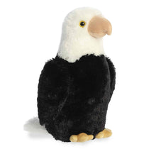 Eagle 14”