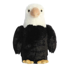 Eagle 14”
