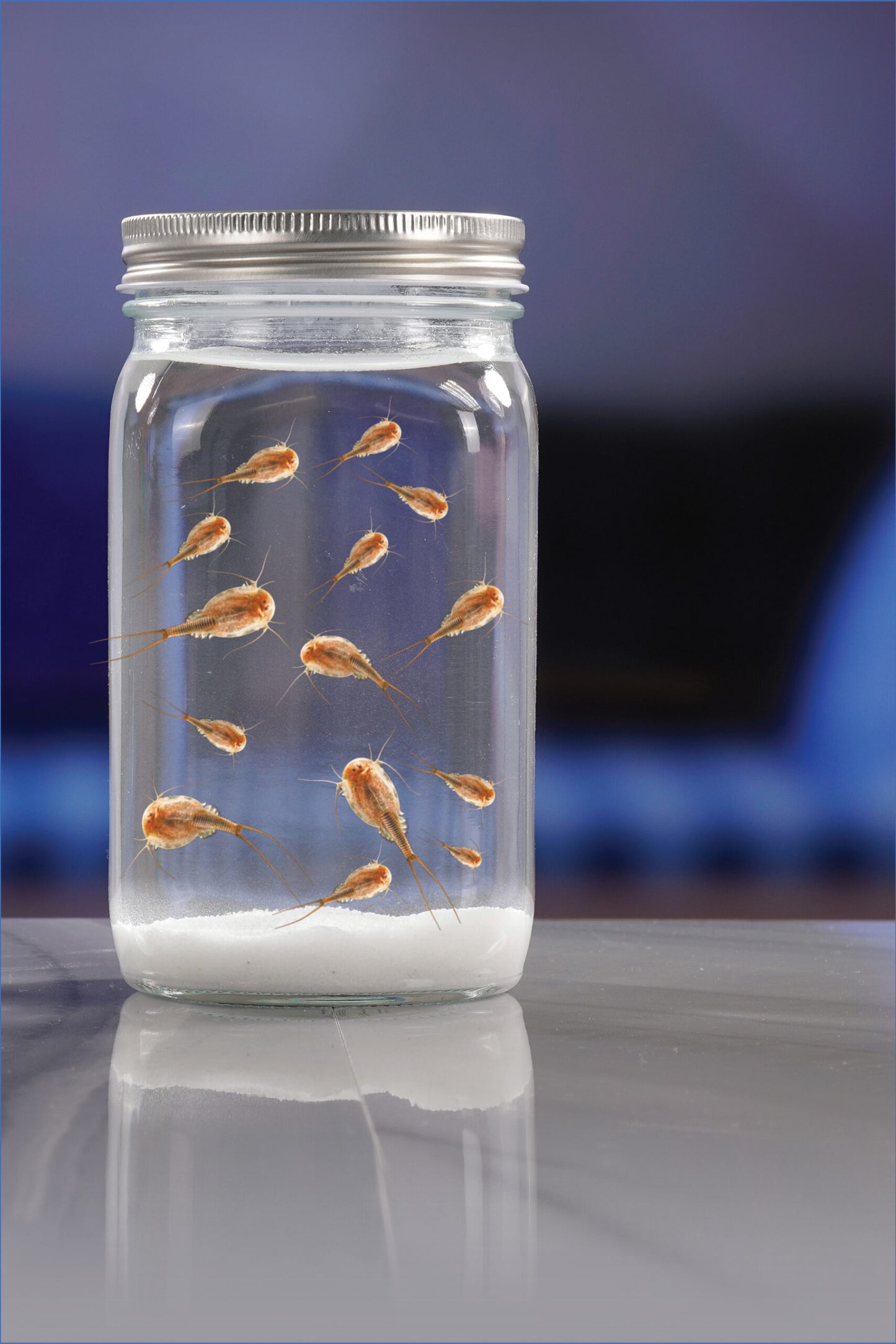 Smithsonian Prehistoric Sea Monsters Value Set