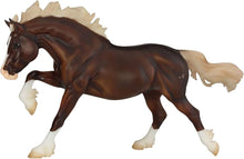 Surfer's Riptide  Chincoteague Pony