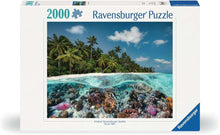 A Dive in the Maldives 2000 pc