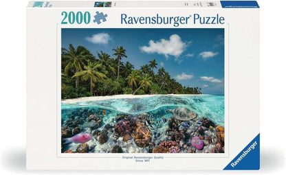 A Dive in the Maldives 2000 pc