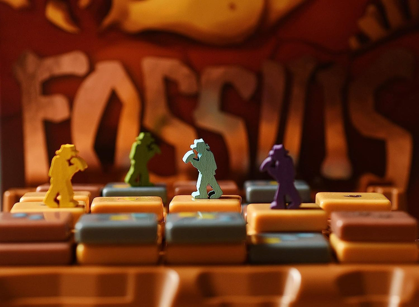 Fossils