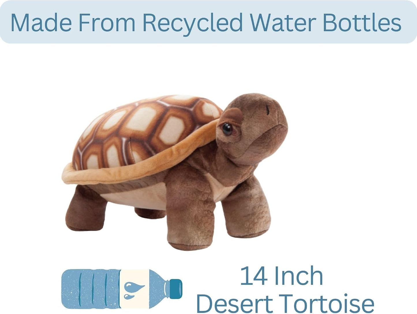 Wild Onez Desert Tortoise