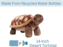 Wild Onez Desert Tortoise