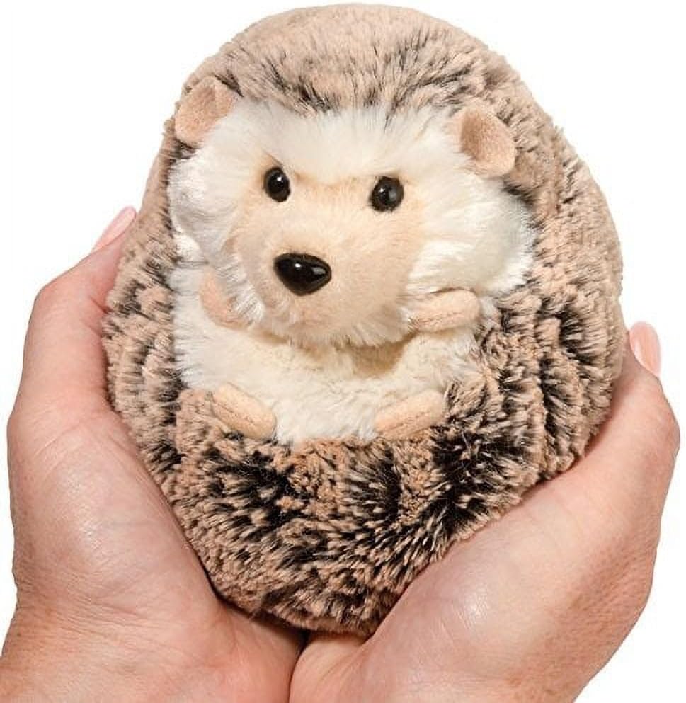 Spunky Hedgehog
