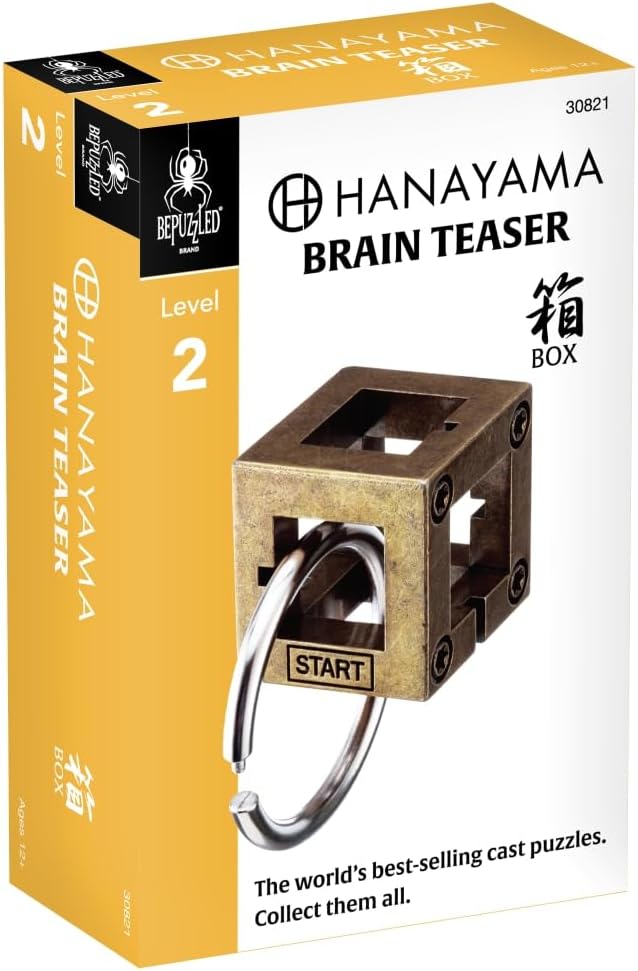 Hanayama Box Level 2 Cast Puzzle