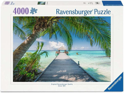 Dream Beach on the Maledives 4000pc