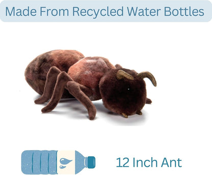 Wild Onez Ant 12"