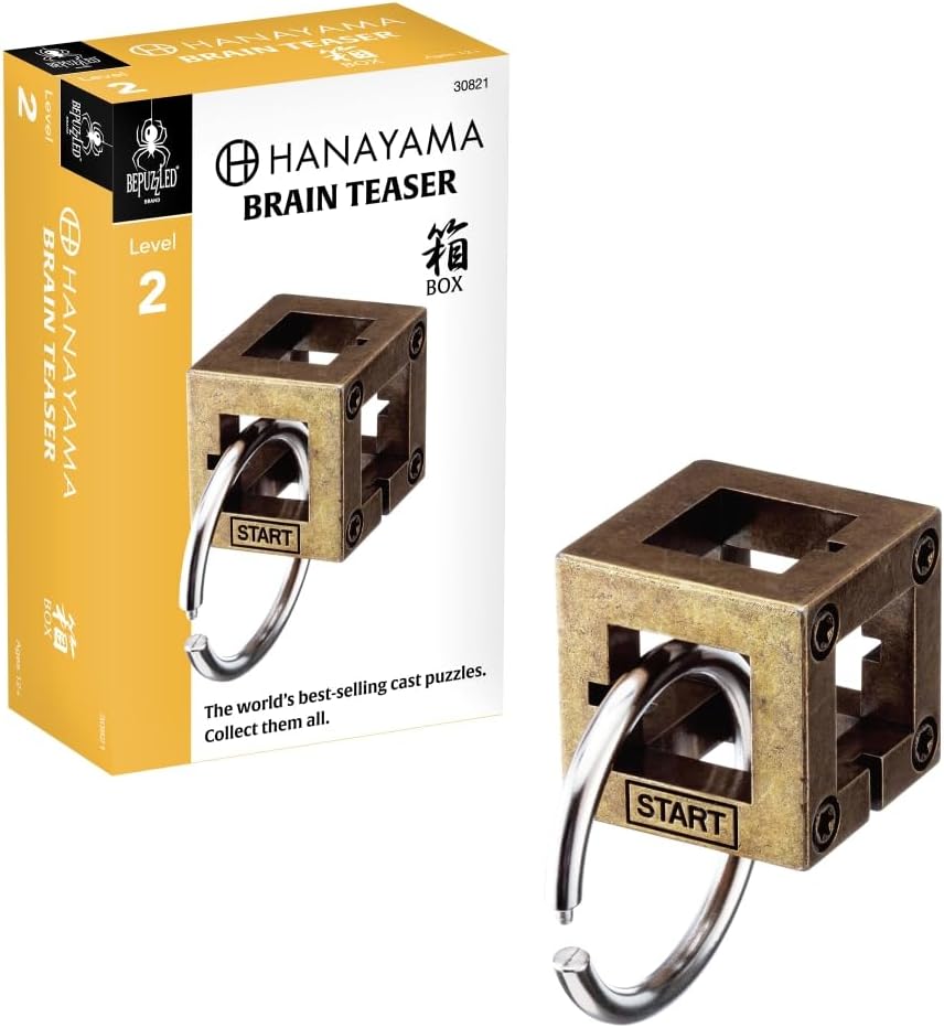 Hanayama Box Level 2 Cast Puzzle