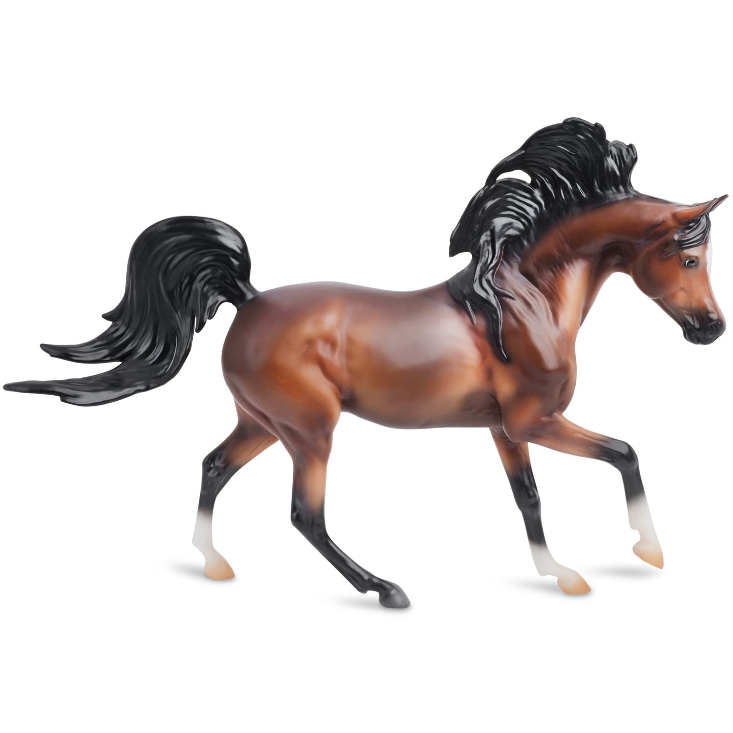 Bay Arabian
