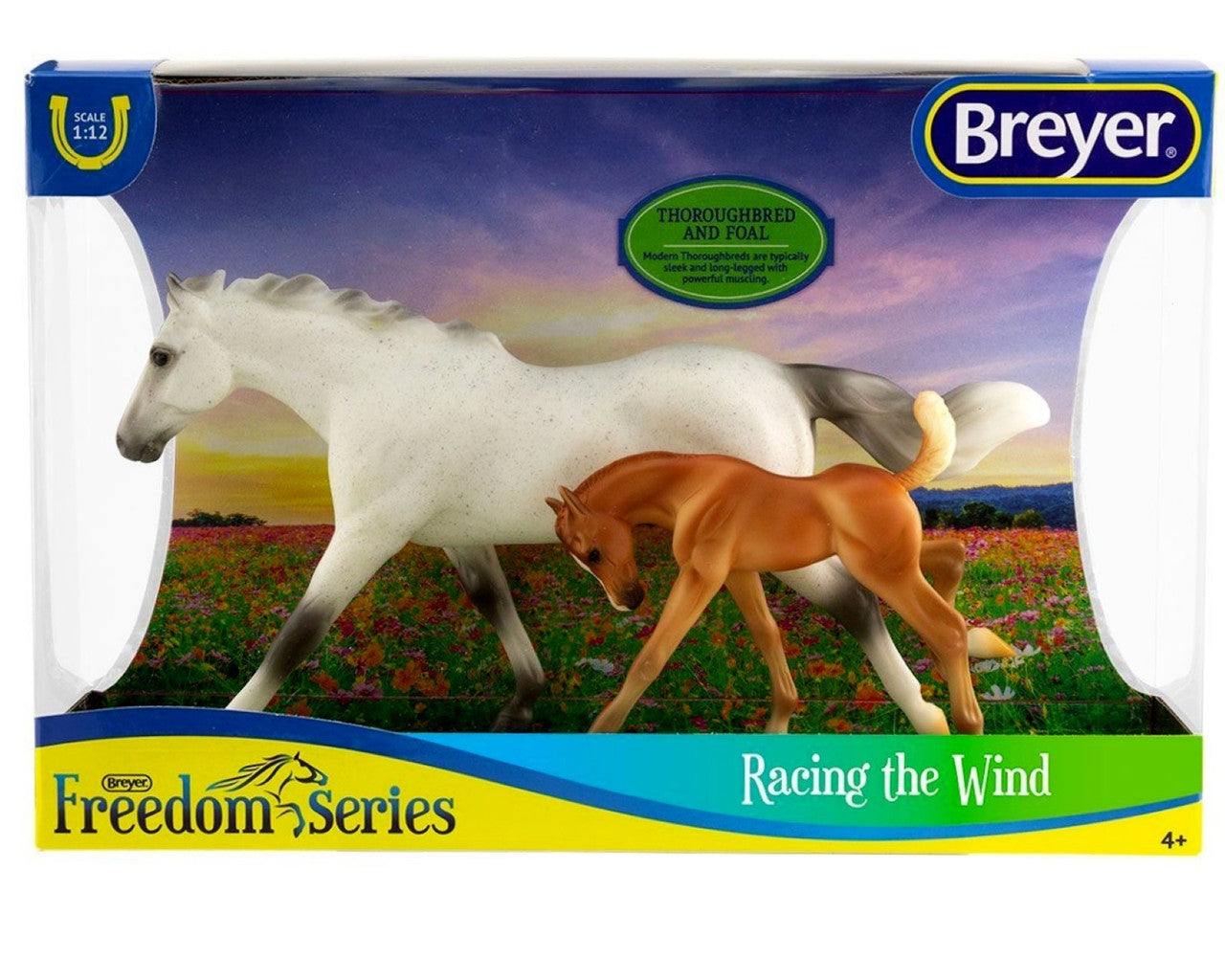 Racing the Wind