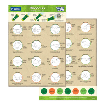 Wonder Lights: Dinosaurs - Educational Flashlight Projector