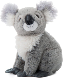 Wild Onez Koala 12"