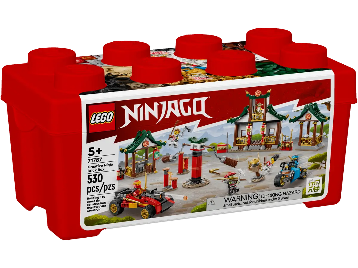 LEGO® NINJAGO® Creative Ninja Brick Box (71787) (Retired)