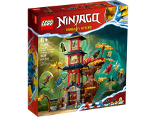 LEGO® NINJAGO® Temple of the Dragon Energy Cores (71795) (Retired)
