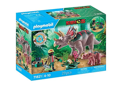 Triceratops Family (PM-71821)
