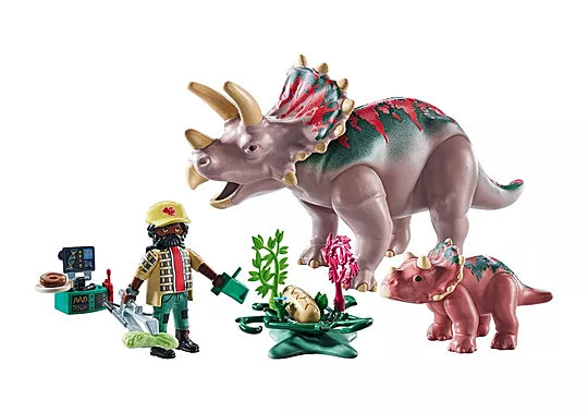 Triceratops Family (PM-71821)