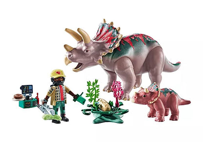 Triceratops Family (PM-71821)