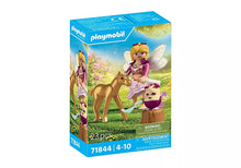 Golden Unicorn Foal with Fairy (PM-71844)