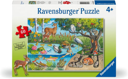 Animals Above and Below 60 Pc Puzzle