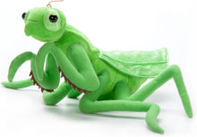 Wild Onez Praying Mantis Insect 12"