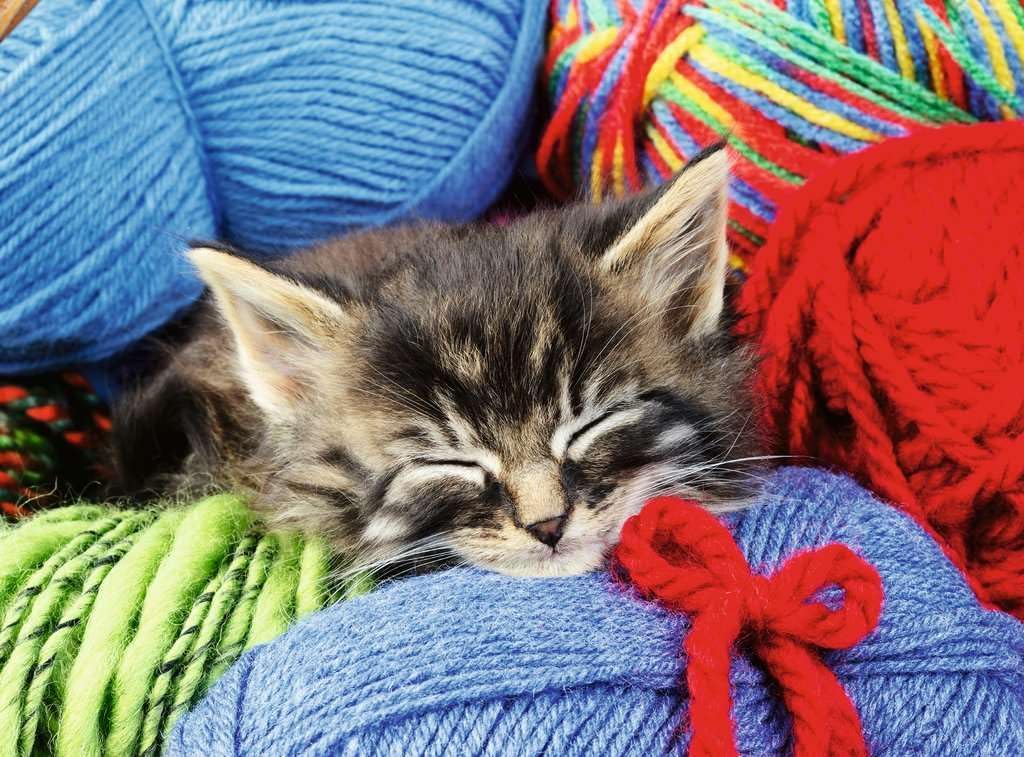 Wool Cat 100pc Puzzle