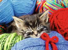 Wool Cat 100pc Puzzle